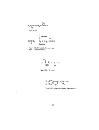 Toxicos en los alimentos....