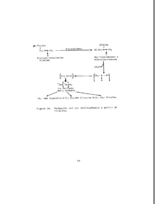 Toxicos en los alimentos....