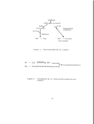 Toxicos en los alimentos....