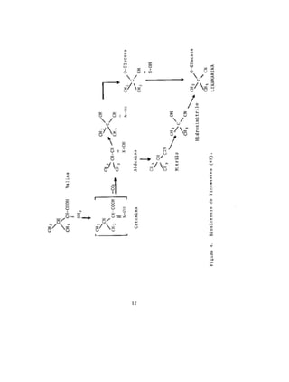 Toxicos en los alimentos....