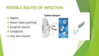 POSSIBLE ROUTES OF INFECTION:
 Vagina
 Nose( nasal packing)
 Surgical wound
 Childbirth
 Any skin wound
 