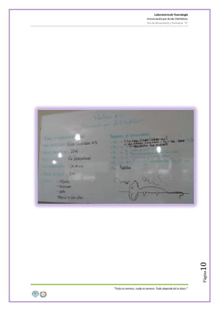 LaboratoriodeToxicología
Intoxicaciónpor Acido Clorhídrico
5to de Bioquímica y Farmacia “A”
“Todo es veneno, nada es veneno. Todo depende de la dosis.”
Página10
 