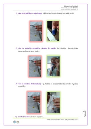 LaboratoriodeToxicología
Intoxicaciónpor Acido Clorhídrico
5to de Bioquímica y Farmacia “A”
“Todo es veneno, nada es veneno. Todo depende de la dosis.”
Página4
1) Con el Papelfiltro + rojo Congo: (+) Positivo Característico (coloraciónazul).
2) Con la solución alcohólica violeta de metilo: (+) Positivo Característico
(coloraciónazul-gris -verde).
3) Con el reactivo de Gunzburg: (+) Positivo no característico (Coloración rojo-rojo
amarillo).
4) Con la brusina:(No hubo reactivo).
 