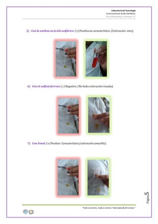 LaboratoriodeToxicología
Intoxicaciónpor Acido Clorhídrico
5to de Bioquímica y Farmacia “A”
“Todo es veneno, nada es veneno. Todo depende de la dosis.”
Página5
5) Con la anilina enácidosulfúrico:(+) Positivono característico.(Coloración vino).
6) Con el sulfatoferroso:(-) Negativo.(No hubo coloraciónrosada).
7) Con Fenol: (+) Positivo Característico (coloración amarilla).
 