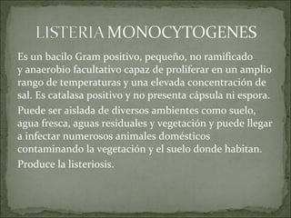 Es un bacilo Gram positivo, pequeño, no ramificado
y anaerobio facultativo capaz de proliferar en un amplio
rango de temperaturas y una elevada concentración de
sal. Es catalasa positivo y no presenta cápsula ni espora.
Puede ser aislada de diversos ambientes como suelo,
agua fresca, aguas residuales y vegetación y puede llegar
a infectar numerosos animales domésticos
contaminando la vegetación y el suelo donde habitan.
Produce la listeriosis.
 
