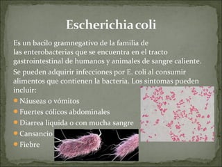 Es un bacilo gramnegativo de la familia de
las enterobacterias que se encuentra en el tracto
gastrointestinal de humanos y animales de sangre caliente.
Se pueden adquirir infecciones por E. coli al consumir
alimentos que contienen la bacteria. Los síntomas pueden
incluir:
Náuseas o vómitos
Fuertes cólicos abdominales
Diarrea líquida o con mucha sangre
Cansancio
Fiebre
 