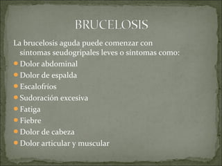 La brucelosis aguda puede comenzar con 
síntomas seudogripales leves o síntomas como:
Dolor abdominal
Dolor de espalda
Escalofríos
Sudoración excesiva
Fatiga
Fiebre
Dolor de cabeza
Dolor articular y muscular
 