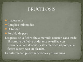 Inapetencia
Ganglios inflamados
Debilidad
Pérdida de peso
Los picos de la fiebre alta a menudo ocurren cada tarde. 
El nombre de fiebre ondulante se utiliza con 
frecuencia para describir esta enfermedad porque la 
fiebre sube y baja en oleadas.
La enfermedad puede ser crónica y durar años.
 