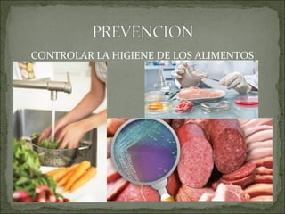 CONTROLAR LA HIGIENE DE LOS ALIMENTOS
 