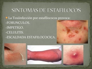 La Toxiinfección por estafilococos provoca:
-FORUNCULOS.
-IMPETIGO.
-CELULITIS.
-ESCALDADA ESTAFILOCOCICA.
 