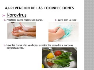 4.PREVENCION DE LAS TOXIINFECCIONES
➢ Norovirus
a. Practicar buena higiene de manos. b. Lave bien la ropa
c. Lave las frutas y las verduras, y cocine los pescados y mariscos
completamente.
 