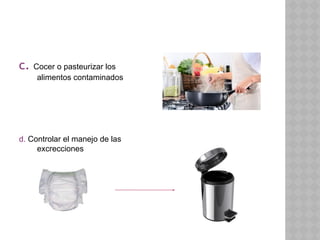 c. Cocer o pasteurizar los
alimentos contaminados
d. Controlar el manejo de las
excrecciones
 