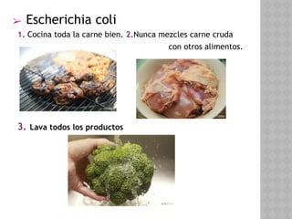 ➢ Escherichia coli
1. Cocina toda la carne bien. 2.Nunca mezcles carne cruda
con otros alimentos.
3. Lava todos los productos 
 