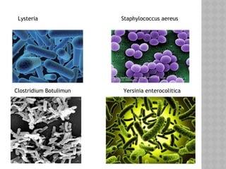 Lysteria Staphylococcus aereus
Clostridium Botulimun Yersinia enterocolitica
 