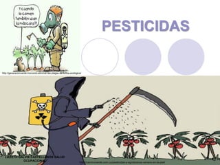 PESTICIDAS
http://caminoverde.com.uy/pesticidas-y-agrotoxicos-veneno-en-la-piel/
http://generacionverde.mx/como-eliminar-las-plagas-de-forma-ecologica/
LIZZETH GALVIS CASTELLANOS SALUD
OCUPACIONAL
 