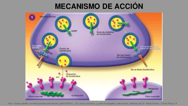 Estructura de los farmacos Estructura de los farmacos