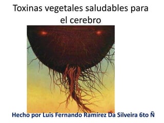 Toxinas vegetales saludables para
el cerebro
Hecho por Luis Fernando Ramírez Da Silveira 6to Ñ
 