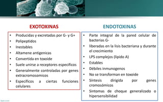 EXOTOXINAS
• Producidas y excretadas por G- y G+
• Polipeptidos
• Inestables
• Altamene antigenicas
• Convertida en toxoid...