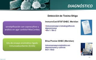 DIAGNÓSTICO
48
kits de ensayo enzimático ligado
inmunoabsorbente (ELISA)
serotipificación con coprocultivo y
análisis en a...