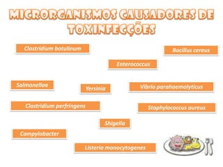 ToxinfecçõEs