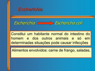 Escherichia Eschericha coli
Constitui um habitante normal do intestino do
homem e dos outros animais e só em
determinadas situações pode causar infecções
Escherichia
Alimentos envolvidos: carne de frango, saladas,
 