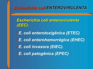 • Escherichia coli ENTEROVIRULENTA
Escherichia coli enterovirulenta
(EEC).
E. coli enterotoxigênica (ETEC)
E. coli enterohemorrágica (EHEC)
E. coli invasora (EIEC).
E. coli patogênica (EPEC)
 