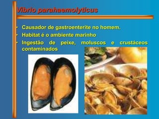 Vibrio parahaemolyticus
• Causador de gastroenterite no homem.
• Habitat é o ambiente marinho
• Ingestão de peixe, moluscos e crustáceos
contaminados
 