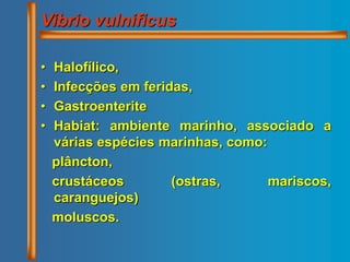 Vibrio vulnificus
• Halofílico,
• Infecções em feridas,
• Gastroenterite
• Habiat: ambiente marinho, associado a
várias espécies marinhas, como:
plâncton,
crustáceos (ostras, mariscos,
caranguejos)
moluscos.
 