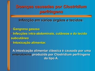 Doenças causadas por Clostridium
perfringens
Infecção em vários órgãos e tecidos:
• Gangrena gasosa
• Infecções intra-abdominais, cutâneas e do tecido
subcutâneo
• Intoxicação alimentar.
A intoxicação alimentar clássica é causada por uma
enterotoxina produzida por Clostridium perfringens
do tipo A.
 