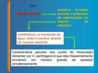Enterotoxina
proteína formada
durante o processo
de esporulação no
interior do
intestino
interferência no transporte de
água, sódio e cloretos através
da mucosa intestinal
Característica peculiar dos surtos de intoxicação
alimentar por C. perfringens é que eles frequentemente
envolvem um número grande de pessoas
simultaneamente
frente
 