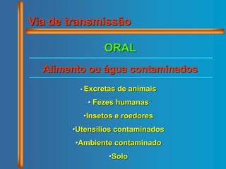 Via de transmissão
ORAL
• Excretas de animais
• Fezes humanas
•Insetos e roedores
•Utensílios contaminados
•Ambiente contaminado
•Solo
Alimento ou água contaminados
 