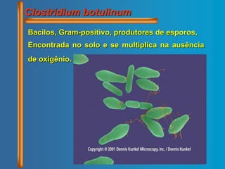 Clostridium botulinum
Bacilos, Gram-positivo, produtores de esporos,
Encontrada no solo e se multiplica na ausência
de oxigênio.
 