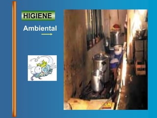 HIGIENE
Ambiental
 