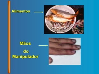 Alimentos
Mãos
do
Manipulador
 