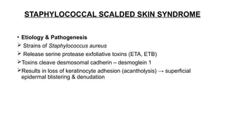 Cleaved Skin toxin mediated dermatological disease.pptx