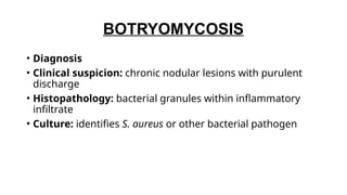 toxin mediated dermatological disease.pptx