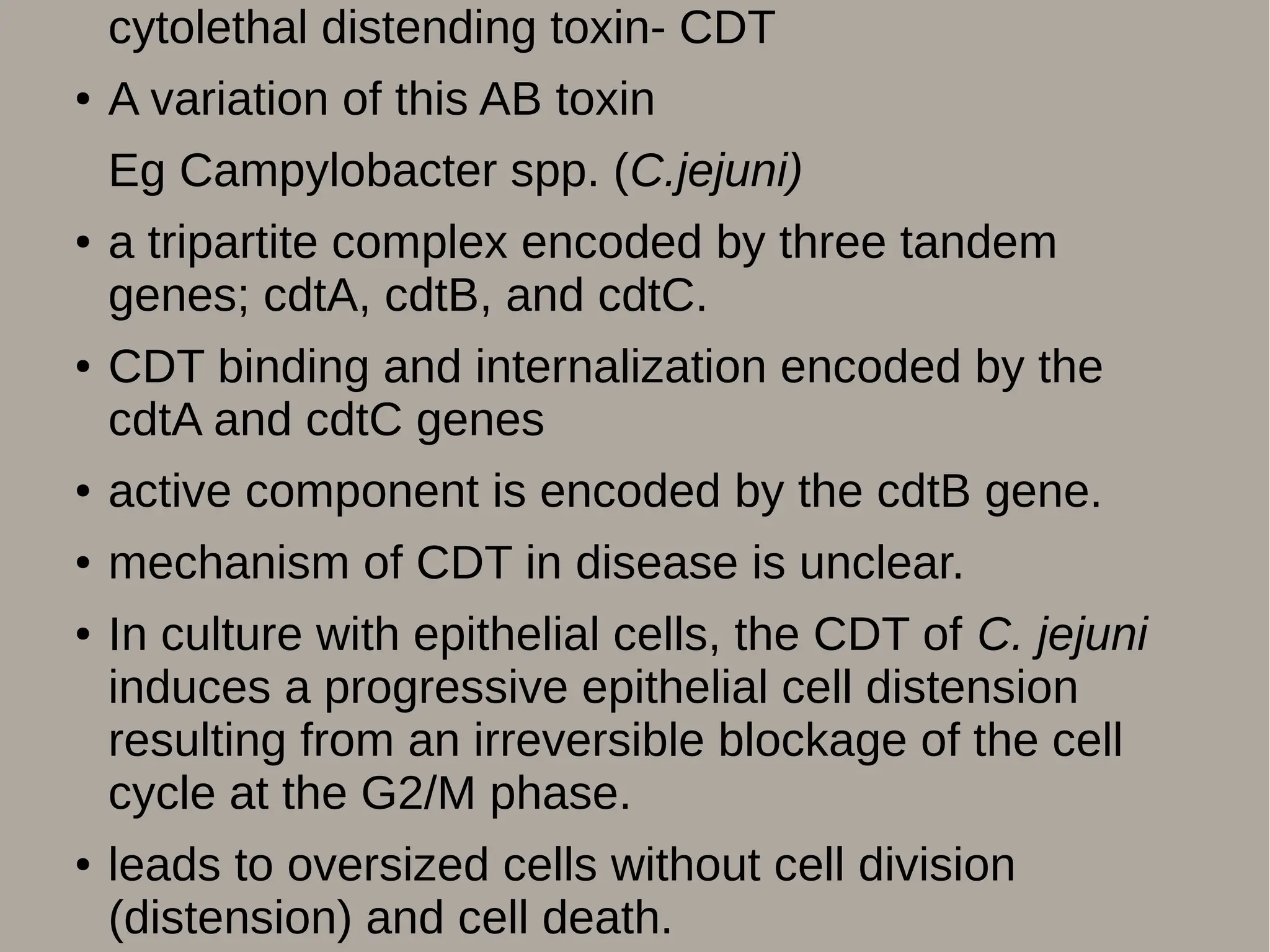 cytolethal distending toxin- CDT
● A variation of this AB toxin
Eg Campylobacter spp. (C.jejuni)
● a tripartite complex encoded by three tandem
genes; cdtA, cdtB, and cdtC.
● CDT binding and internalization encoded by the
cdtA and cdtC genes
● active component is encoded by the cdtB gene.
● mechanism of CDT in disease is unclear.
● In culture with epithelial cells, the CDT of C. jejuni
induces a progressive epithelial cell distension
resulting from an irreversible blockage of the cell
cycle at the G2/M phase.
● leads to oversized cells without cell division
(distension) and cell death.
 