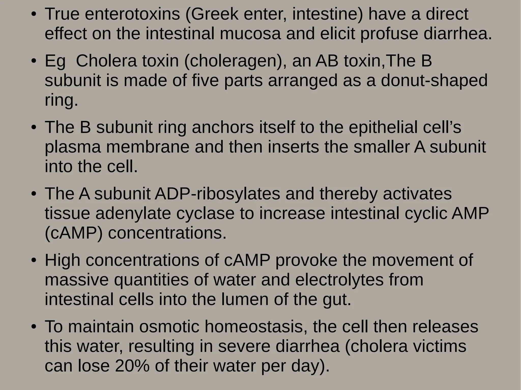 ● True enterotoxins (Greek enter, intestine) have a direct
effect on the intestinal mucosa and elicit profuse diarrhea.
● Eg Cholera toxin (choleragen), an AB toxin,The B
subunit is made of five parts arranged as a donut-shaped
ring.
● The B subunit ring anchors itself to the epithelial cell’s
plasma membrane and then inserts the smaller A subunit
into the cell.
● The A subunit ADP-ribosylates and thereby activates
tissue adenylate cyclase to increase intestinal cyclic AMP
(cAMP) concentrations.
● High concentrations of cAMP provoke the movement of
massive quantities of water and electrolytes from
intestinal cells into the lumen of the gut.
● To maintain osmotic homeostasis, the cell then releases
this water, resulting in severe diarrhea (cholera victims
can lose 20% of their water per day).
 