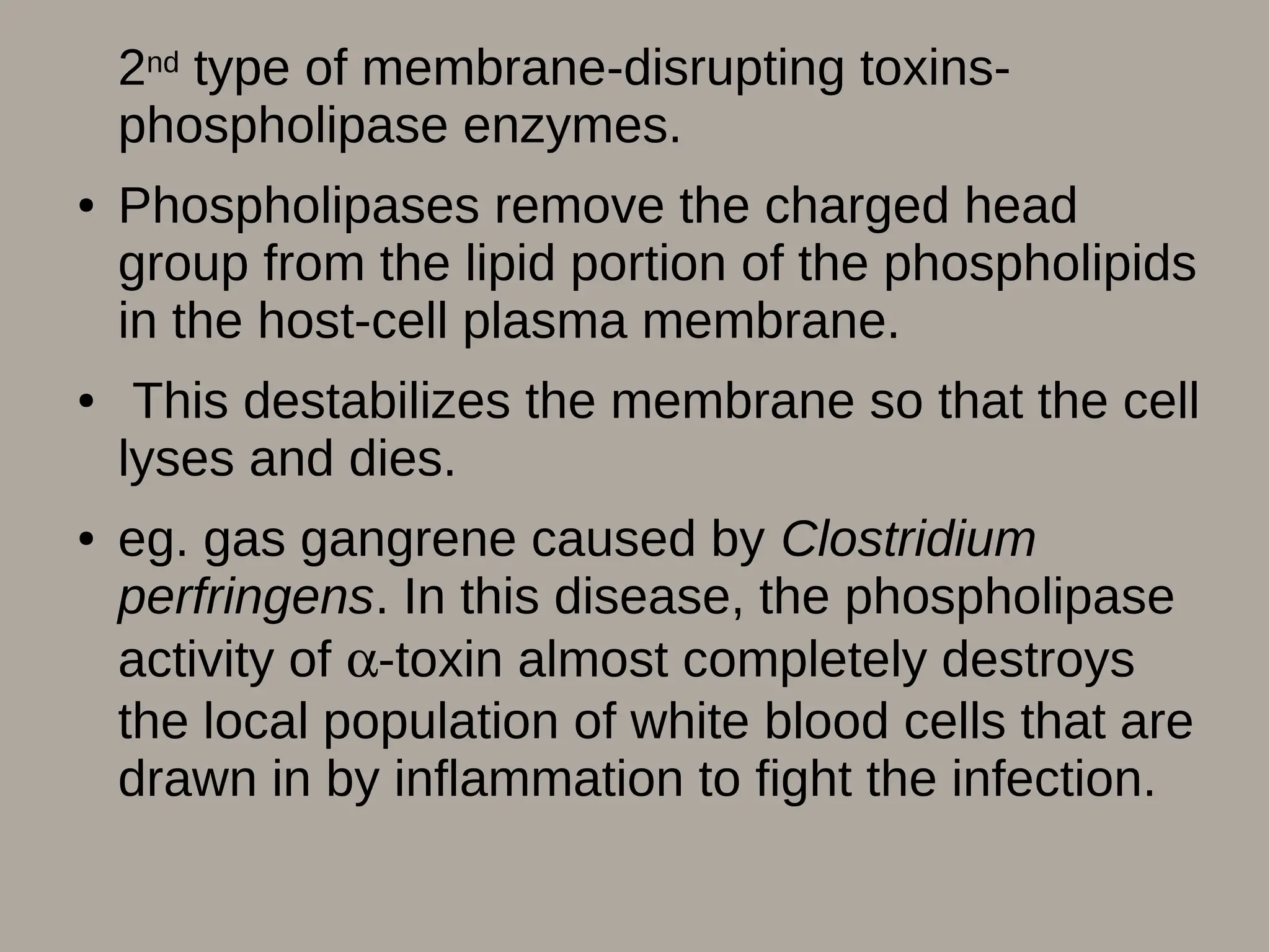 2nd type of membrane-disrupting toxins-
phospholipase enzymes.
● Phospholipases remove the charged head
group from the lipid portion of the phospholipids
in the host-cell plasma membrane.
● This destabilizes the membrane so that the cell
lyses and dies.
● eg. gas gangrene caused by Clostridium
perfringens. In this disease, the phospholipase
activity of -toxin almost completely destroys
the local population of white blood cells that are
drawn in by inflammation to fight the infection.
 