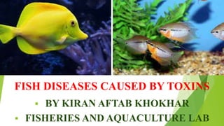 fish diseases caused by toxins | PPTX