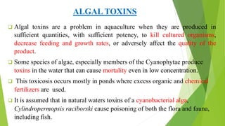 fish diseases caused by toxins | PPTX