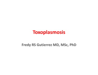 Toxoplasmosis
Fredy RS Gutierrez MD, MSc, PhD
 