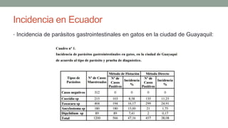 Incidencia en Ecuador
• Incidencia de parásitos gastrointestinales en gatos en la ciudad de Guayaquil:
 