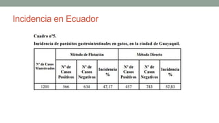 Incidencia en Ecuador
 