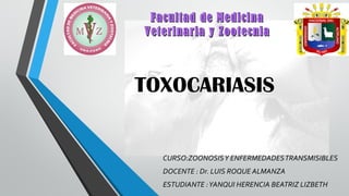 TOXOCARIASIS
CURSO:ZOONOSISY ENFERMEDADESTRANSMISIBLES
DOCENTE : Dr. LUIS ROQUE ALMANZA
ESTUDIANTE :YANQUI HERENCIA BEATRIZ LIZBETH
Facultad de MedicinaFacultad de Medicina
Veterinaria y ZootecniaVeterinaria y Zootecnia
 