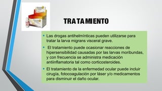 TRATAMIENTO
• Las drogas antihelmínticas pueden utilizarse para
tratar la larva migrans visceral grave.
• El tratamiento puede ocasionar reacciones de
hipersensibilidad causadas por las larvas moribundas,
y con frecuencia se administra medicación
antiinflamatoria tal como corticosteroides.
• El tratamiento de la enfermedad ocular puede incluir
cirugía, fotocoagulación por láser y/o medicamentos
para disminuir el daño ocular.
 