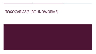 TOXOCARIASIS (ROUNDWORMS)
 