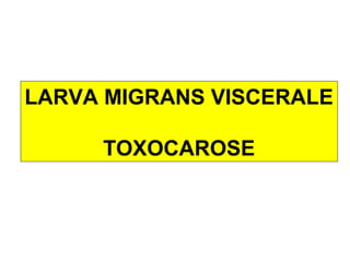 LARVA MIGRANS VISCERALE

     TOXOCAROSE
 