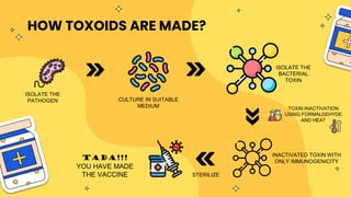 HOW TOXOIDS ARE MADE?
ISOLATE THE
PATHOGEN CULTURE IN SUITABLE
MEDIUM
ISOLATE THE
BACTERIAL
TOXIN
TOXIN INACTIVATION
USING...