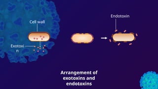 DK 3
Cell wall
Exotoxi
n
Endotoxin
Arrangement of
exotoxins and
endotoxins
 